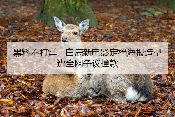 黑料不打烊：白鹿新电影定档海报造型遭全网争议撞款